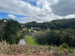 Terreno / Lote / Condomínio à venda, 13000m² no Vale dos Vinhedos, Bento Gonçalves - Foto 18