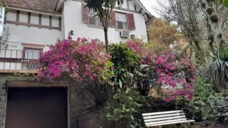 Casa com 6 Quartos à venda, 570m² no Santa Cecília, Porto Alegre - Foto 4