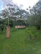 Fazenda / Sítio / Chácara com 6 Quartos à venda, 84700m² no Vila Nova Itapetininga, Itapetininga - Foto 46