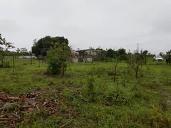 Fazenda / Sítio / Chácara com 2 Quartos à venda, 4500m² no Gama, Brasília - Foto 1
