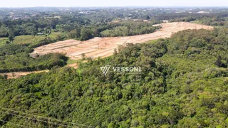 Terreno / Lote / Condomínio à venda, 715m² no Vila Delurdes, Campo Largo - Foto 3
