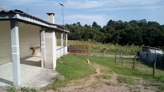 Fazenda / Sítio / Chácara com 2 Quartos à venda, 1000m² no Contenda, São José dos Pinhais - Foto 6