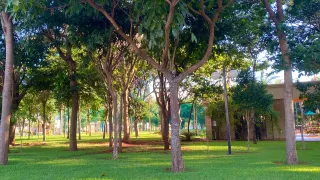 Casa de Condomínio com 3 Quartos à venda, 190m² no Residencial Alto do Castelo, Ribeirão Preto - Foto 19