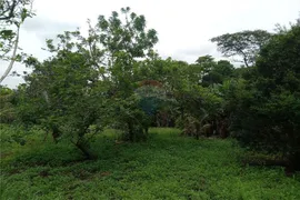 Fazenda / Sítio / Chácara com 1 Quarto à venda, 2000m² no Paraíso da Cachoeira, Mogi Mirim - Foto 9