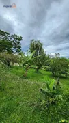Fazenda / Sítio / Chácara com 2 Quartos à venda, 160m² no Vila Menino Jesus, Caçapava - Foto 22