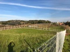 Terreno / Lote / Condomínio à venda, 3210m² no Vale dos Vinhedos, Bento Gonçalves - Foto 1