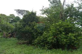 Fazenda / Sítio / Chácara com 1 Quarto à venda, 2000m² no Paraíso da Cachoeira, Mogi Mirim - Foto 10