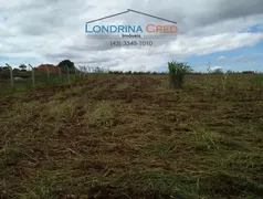 Terreno / Lote / Condomínio à venda, 2500m² no Zona Rural, Ibiporã - Foto 1