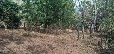 Fazenda / Sítio / Chácara com 3 Quartos à venda, 30000m² no Area Rural de Santo Antonio do Descoberto, Santo Antônio do Descoberto - Foto 26