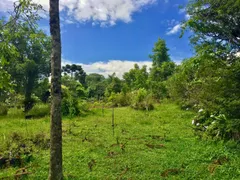 Fazenda / Sítio / Chácara à venda, 17832m² no Centro, Campos do Jordão - Foto 18