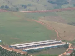 Fazenda / Sítio / Chácara com 4 Quartos à venda, 5000m² no Zona Rural, Serra Negra - Foto 8