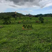 Fazenda / Sítio / Chácara à venda, 1548800m² no Zona Rural, Hidrolândia - Foto 7