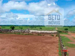 Fazenda / Sítio / Chácara à venda, 999999999m² no Zona Rural, Rondolândia - Foto 3