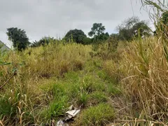 Terreno / Lote Comercial para venda ou aluguel, 2000m² no Parque Rural Fazenda Santa Cândida, Campinas - Foto 6