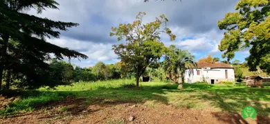 Fazenda / Sítio / Chácara à venda, 121000m² no Vale dos Vinhedos, Bento Gonçalves - Foto 10