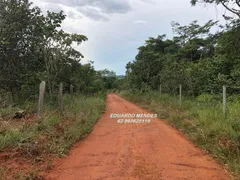 Fazenda / Sítio / Chácara com 3 Quartos à venda, 30312m² no Zona Rural, Gameleira de Goiás - Foto 9