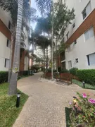 Apartamento com 3 Quartos à venda, 63m² no Jardim das Vertentes, São Paulo - Foto 31