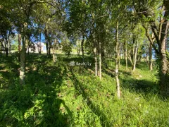 Terreno / Lote / Condomínio à venda, 984m² no Vale dos Vinhedos, Bento Gonçalves - Foto 13