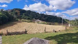 Fazenda / Sítio / Chácara com 2 Quartos à venda, 20000m² no Centro, Monte Belo do Sul - Foto 7