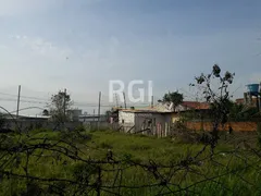 Terreno / Lote / Condomínio à venda, 294m² no São Miguel, São Leopoldo - Foto 3