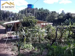 Fazenda / Sítio / Chácara com 3 Quartos à venda, 20000m² no Espigão das Antas, Mandirituba - Foto 4