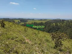 Fazenda / Sítio / Chácara à venda, 484000m² no Centro, Campos do Jordão - Foto 7