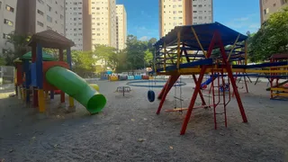 Apartamento com 2 Quartos à venda, 50m² no Pedra Branca, São Paulo - Foto 15