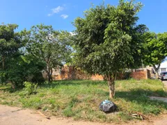 Terreno / Lote / Condomínio à venda, 338m² no Camboim, Sapucaia do Sul - Foto 5