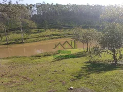 Fazenda / Sítio / Chácara com 5 Quartos para venda ou aluguel, 314600m² no Parque Agrinco , Guararema - Foto 14