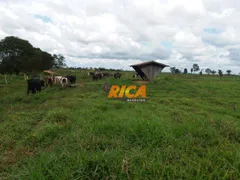 Fazenda / Sítio / Chácara à venda, 2900000m² no ,  - Foto 4