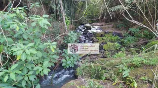 Fazenda / Sítio / Chácara com 3 Quartos à venda, 84700m² no , Redenção da Serra - Foto 38