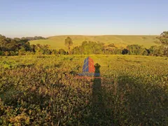 Fazenda / Sítio / Chácara à venda, 48000m² no Rural, Limeira - Foto 4