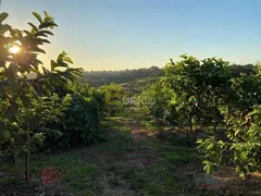 Fazenda / Sítio / Chácara com 4 Quartos à venda, 500m² no Reforma Agraria, Valinhos - Foto 18