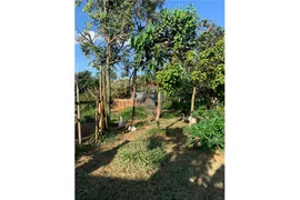Fazenda / Sítio / Chácara com 1 Quarto à venda, 90m² no Goias, Cidade Ocidental - Foto 22