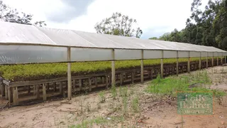 Fazenda / Sítio / Chácara com 4 Quartos à venda, 330000m² no Vargem Grande, Duas Barras - Foto 12