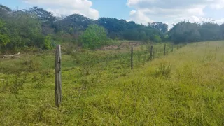 Fazenda / Sítio / Chácara com 2 Quartos à venda, 104000m² no Chacaras Recanto de Ala, Mirassol - Foto 20