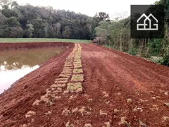 Fazenda / Sítio / Chácara com 2 Quartos à venda, 100m² no Sao Joao d Oeste, Cascavel - Foto 13