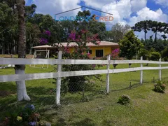 Fazenda / Sítio / Chácara com 4 Quartos à venda, 300m² no Zona Rural, Mandirituba - Foto 8
