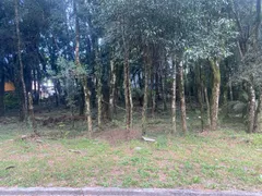 Terreno / Lote / Condomínio à venda, 802m² no Floresta, Gramado - Foto 10