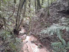 Terreno / Lote / Condomínio à venda, 48400m² no Areia Branca dos Assis, Mandirituba - Foto 8