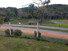 Fazenda / Sítio / Chácara com 4 Quartos à venda, 300m² no Zona Rural, Mandirituba - Foto 15
