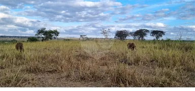 Fazenda / Sítio / Chácara com 4 Quartos à venda, 18500m² no Area Rural de Vitoria da Conquista, Vitória da Conquista - Foto 16