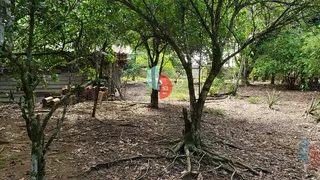 Fazenda / Sítio / Chácara com 3 Quartos à venda, 200m² no Parque Nossa Senhora da Ajuda, Guapimirim - Foto 14