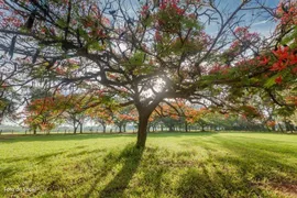 Terreno / Lote / Condomínio à venda, 900m² no Residencial Haras Patente, Jaguariúna - Foto 17