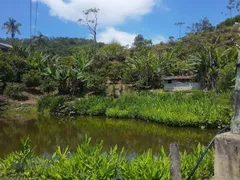 Fazenda / Sítio / Chácara com 4 Quartos à venda, 45000m² no Chacara Paraiso, Nova Friburgo - Foto 9