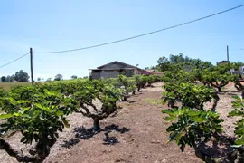 Fazenda / Sítio / Chácara à venda, 57800m² no Centro, Morungaba - Foto 9