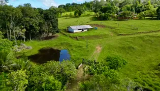 Fazenda / Sítio / Chácara com 5 Quartos à venda, 400000m² no Centro, Uruçuca - Foto 8