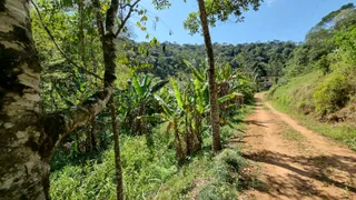 Fazenda / Sítio / Chácara com 5 Quartos à venda, 320m² no Chapeu, Domingos Martins - Foto 7