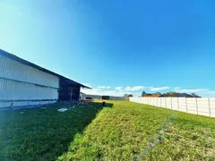 Galpão / Depósito / Armazém com 3 Quartos para alugar, 250m² no Area Rural de Limeira, Limeira - Foto 3