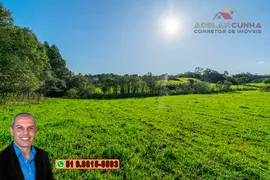 Fazenda / Sítio / Chácara à venda, 70000m² no Zona Rural, Três Coroas - Foto 14
